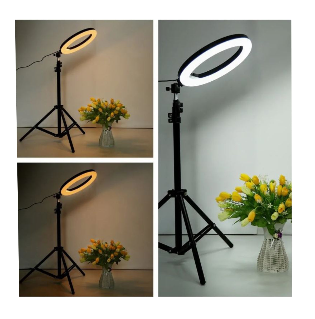 Aro De Luz 26 Cm + Tripode Profesional 2.10