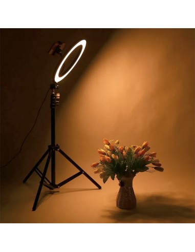 Aro De Luz 26 Cm + Tripode Profesional 2.10